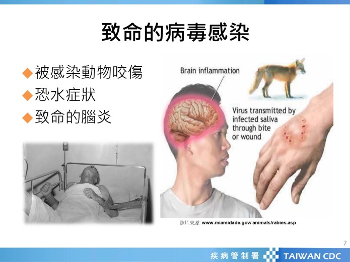 預防致命狂犬病 北榮桃園分院建議這樣做 63 966574