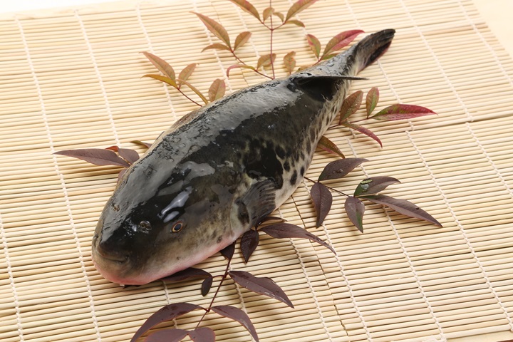 暖呼呼!山口縣冬季必吃3大海鮮火鍋