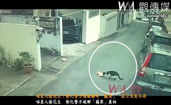 喵星人偷花生!彰化警方偵破離奇「竊案」 屋主哭笑不得