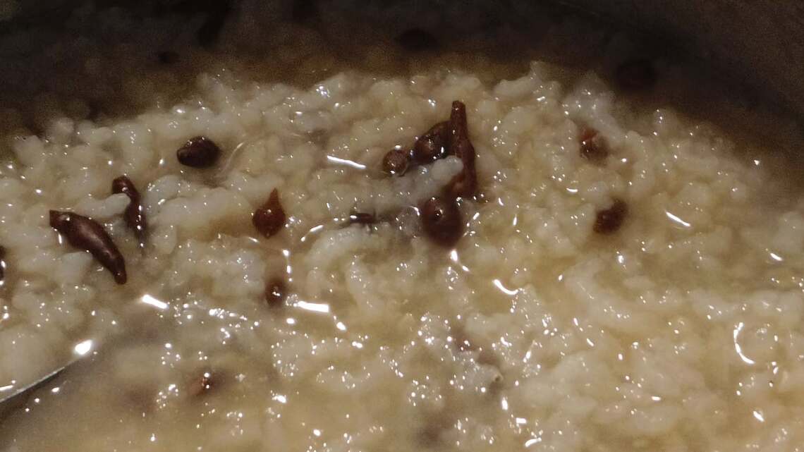 蕨麻稀飯  青海甘肅行買回來的食材藥材