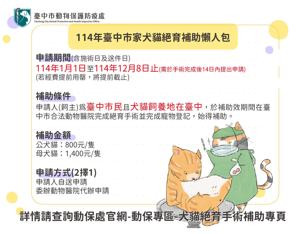 中市家犬貓絕育補助計畫開跑　動保處請飼主把握機會盡早申請