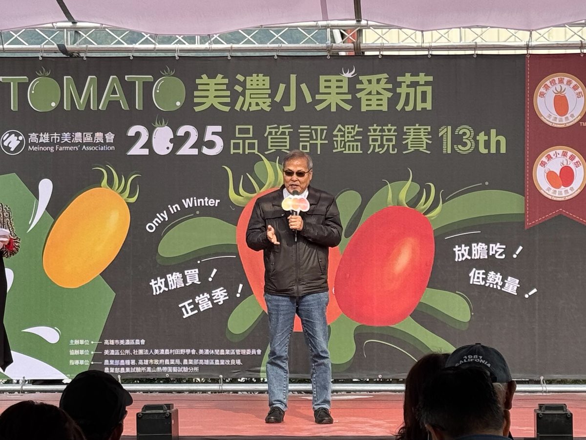 高雄美濃小果番茄評鑑　彩色時代開啟　多元品種引領味蕾