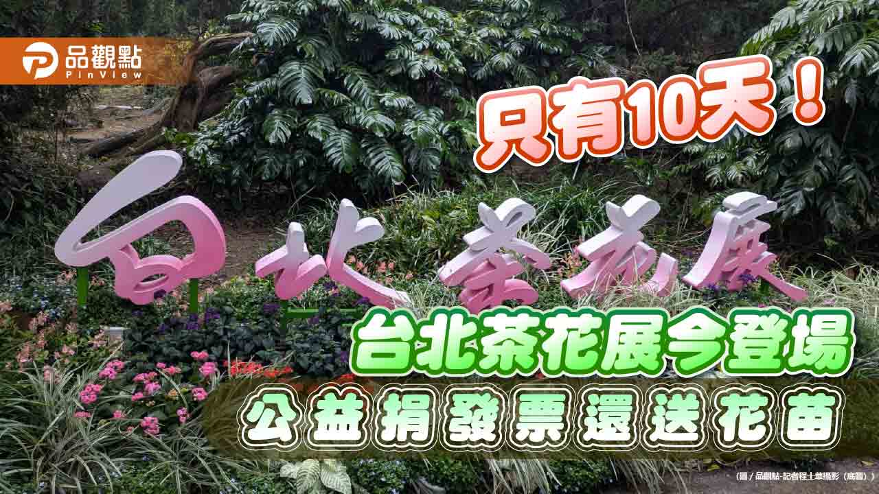 只有10天!台北茶花展今登場 公益捐發票還送花苗