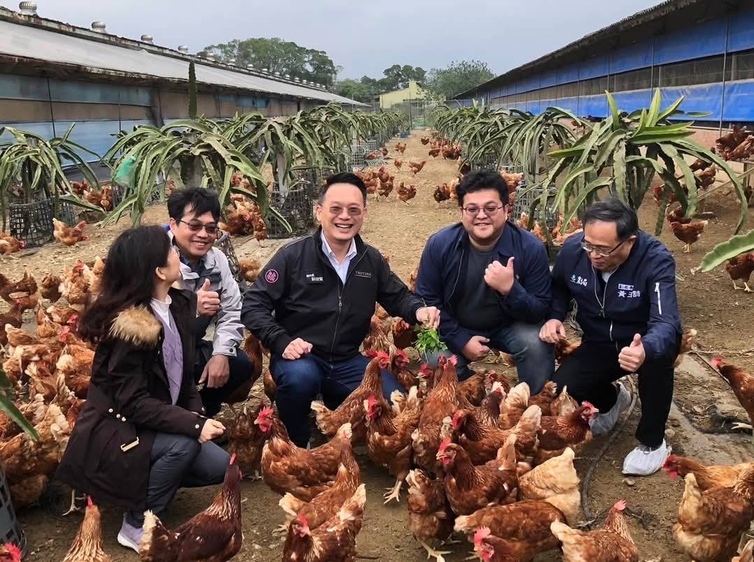 蛋雞入畫挺青農　蘇俊賓大讚農業局、青年局「無抗養殖」成果 225