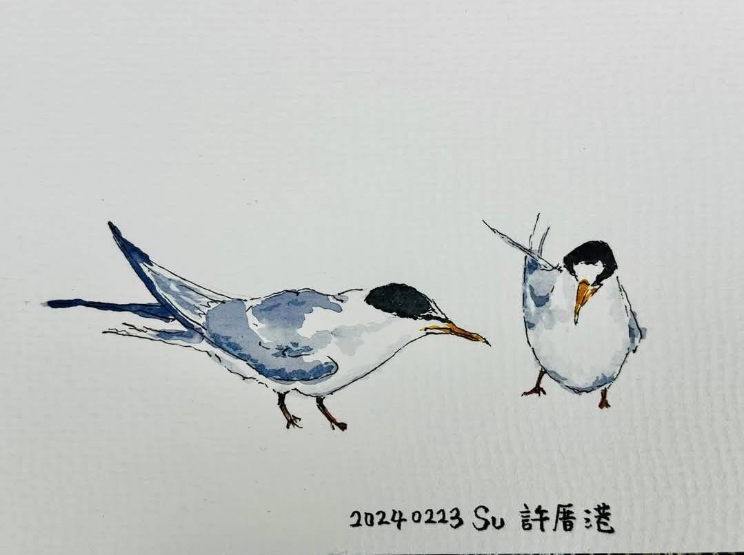 大湳森林公園生態復育有成 蘇俊賓手繪生態卡片贈4大協會 254 大湳森林公園生態復育有成 蘇俊賓手繪生態卡片贈4大協會 253