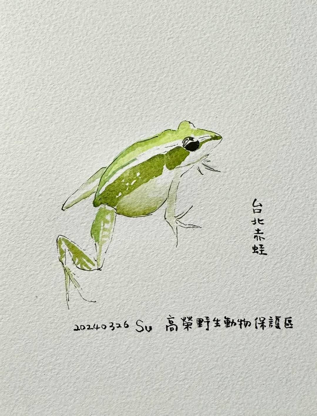 大湳森林公園生態復育有成 蘇俊賓手繪生態卡片贈4大協會 256 大湳森林公園生態復育有成 蘇俊賓手繪生態卡片贈4大協會 255