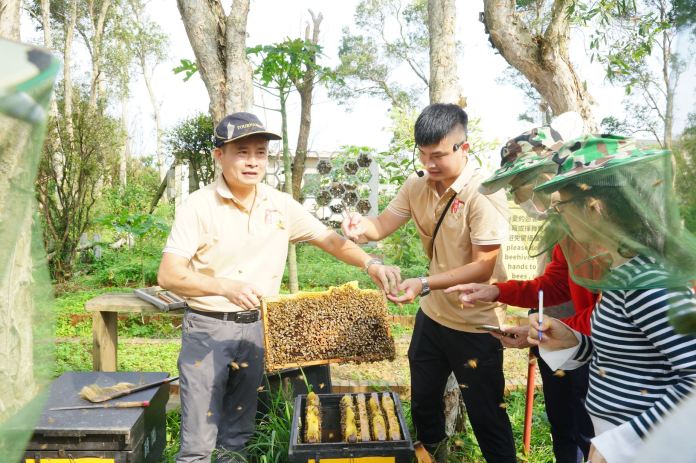 桃園青年局招募地方創生團隊 百萬獎勵金助力永續行動 78 12356684 3