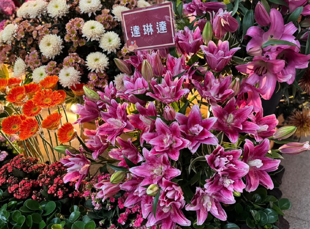 新春花卉-百合花