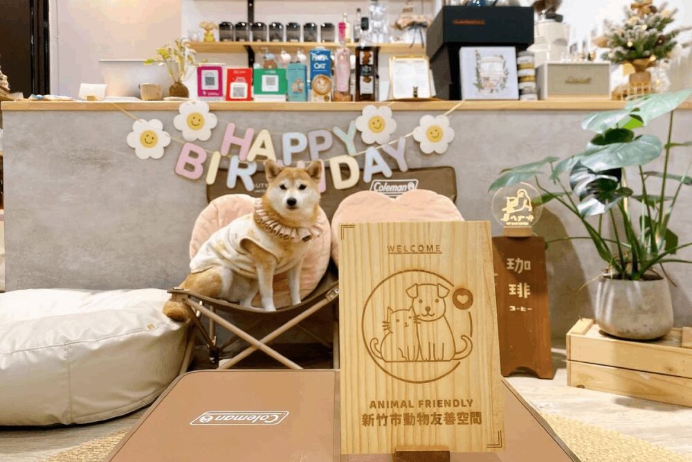 新竹市府獲動保評鑑3大獎 邱臣遠:致力打造動物友善環境 217 照片來源:新竹市政府