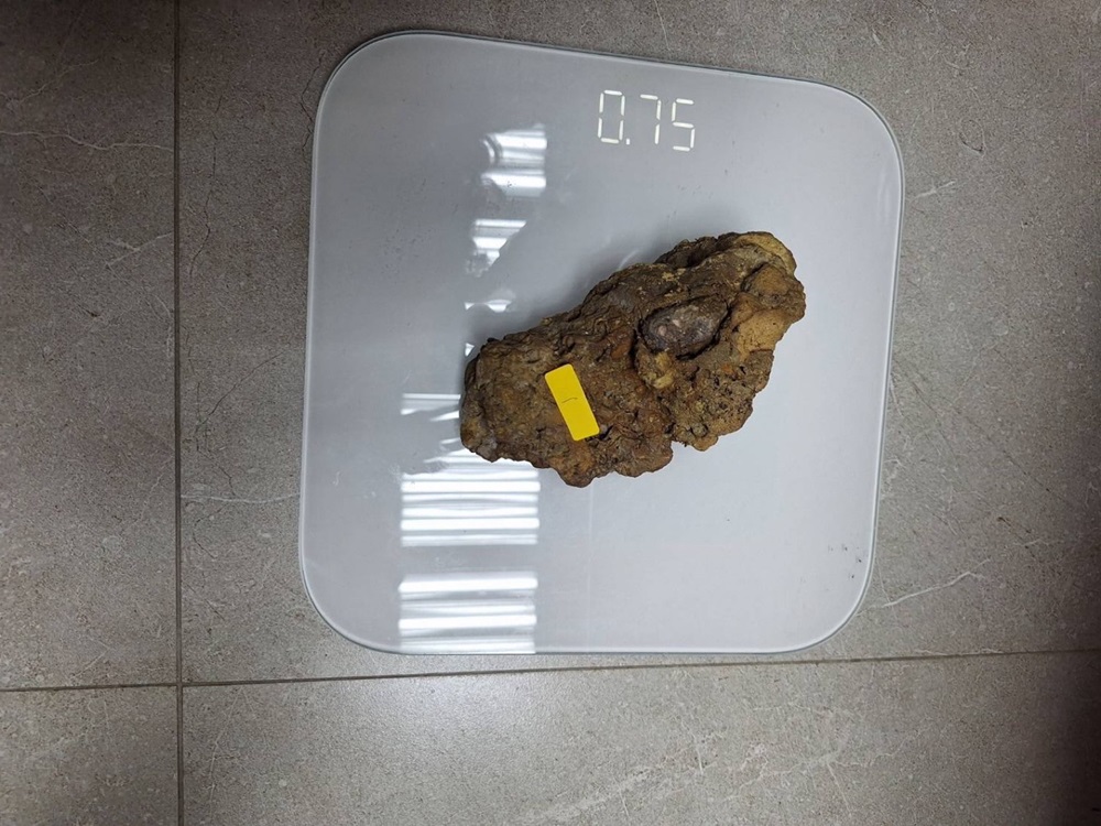 擅闖北投溪撬走北投石 4旬男涉觸文化資產保存法被逮 203 cnews204250115a04
