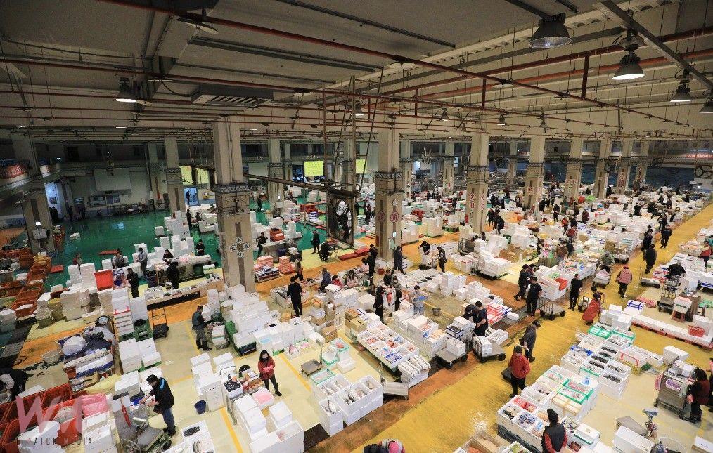 中市盧秀燕春節前視察魚市、果菜市場 關心供需加強調配量 - https://www.watchmedia01.com