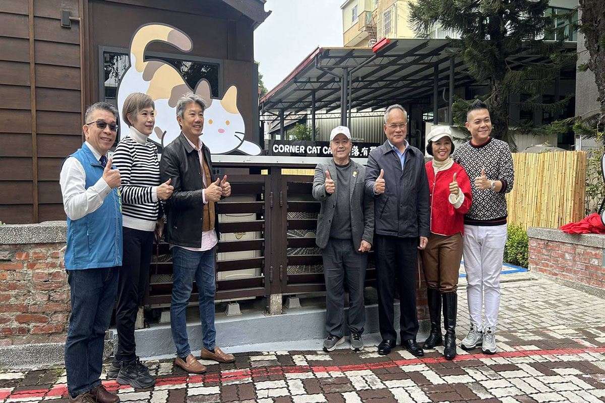 【台南新亮點】歷史建築化身貓咪天堂 美食與故事交織的療癒空間