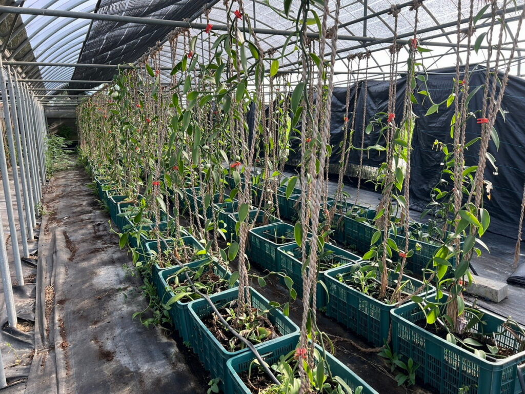 麗升能源綠電與環境生態永續