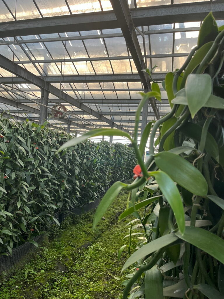 麗升能源綠電與環境生態永續
