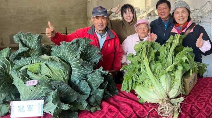 楊梅農民節大會登場 巨型芥菜、高麗菜超吸睛 94 423628