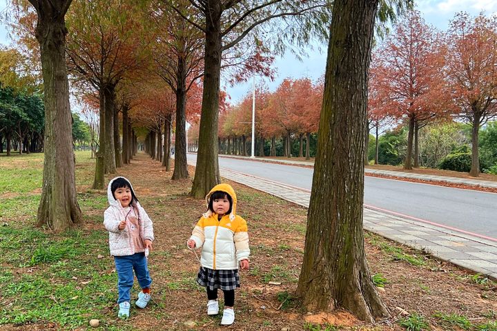 落羽松大道吸引不少遊客帶著小孩來踏青拍照。 圖:麗寶樂園渡假區/提供