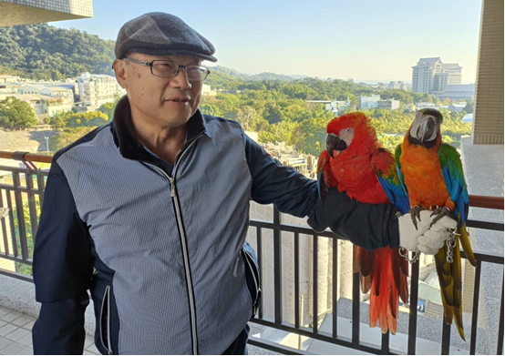 圖文:鸚鵡離家出走飢渴求助 中市保大透過腳鐐資料通知飼主前來領回。