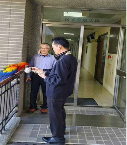 圖文:鸚鵡離家出走飢渴求助 中市保大透過腳鐐資料通知飼主前來領回。