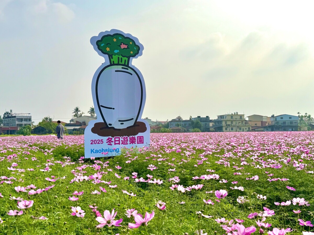 ▲圖:美濃、杉林區公所今年連手規劃57公頃花海迎春。( 農業局提供)