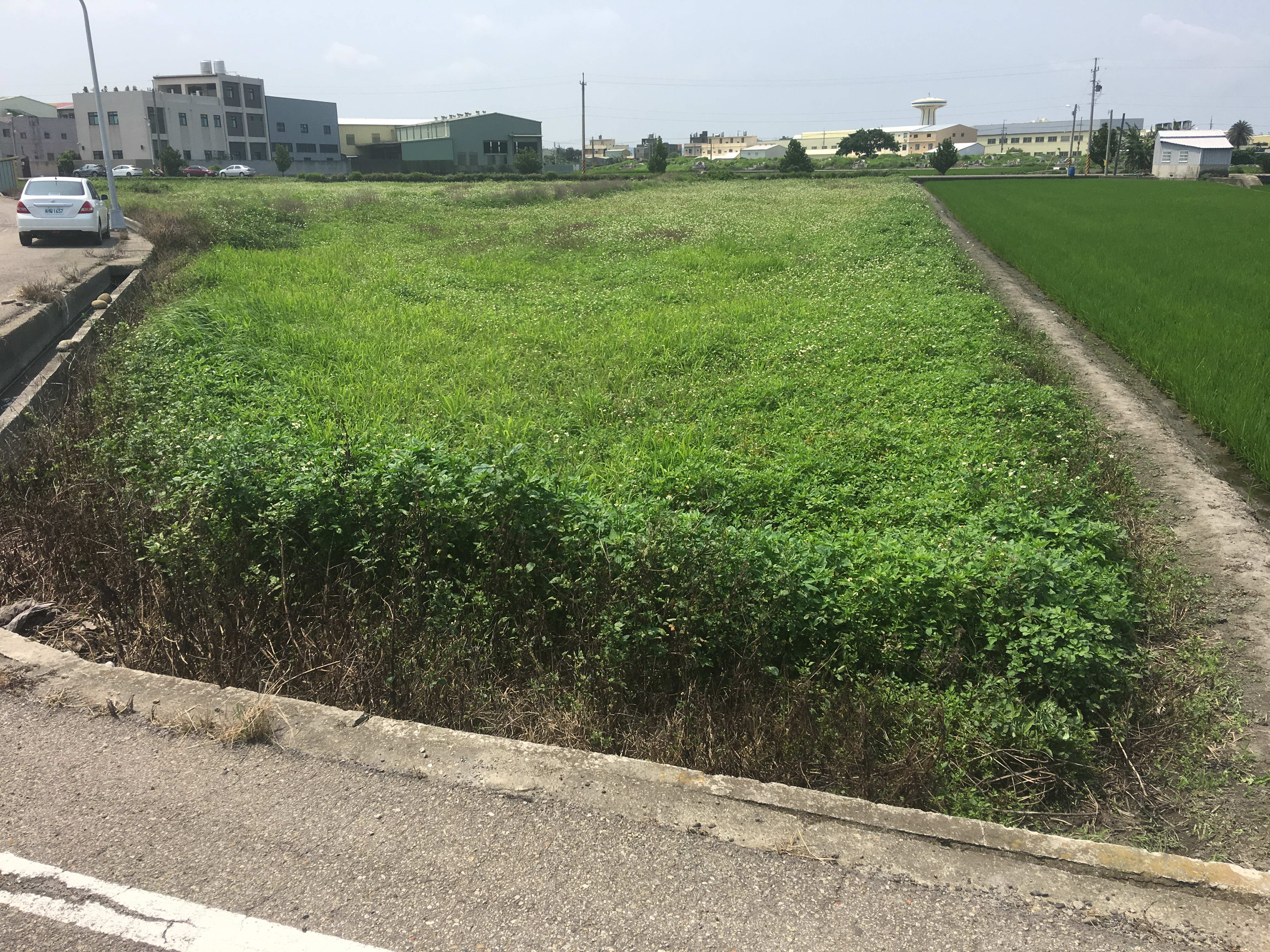 市有耕地租金已開徵　中市地政局提醒規定期限繳納免受罰