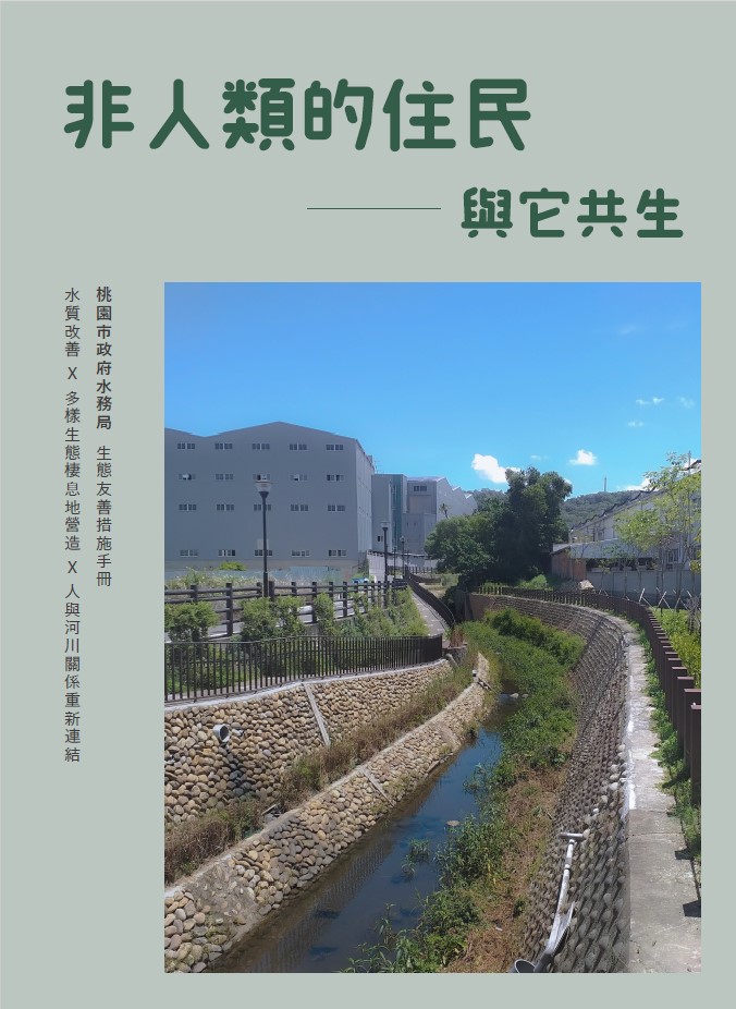 南崁溪蝶變綠意河岸 桃園水務局展現治水與生態共榮成果 77 518368 0