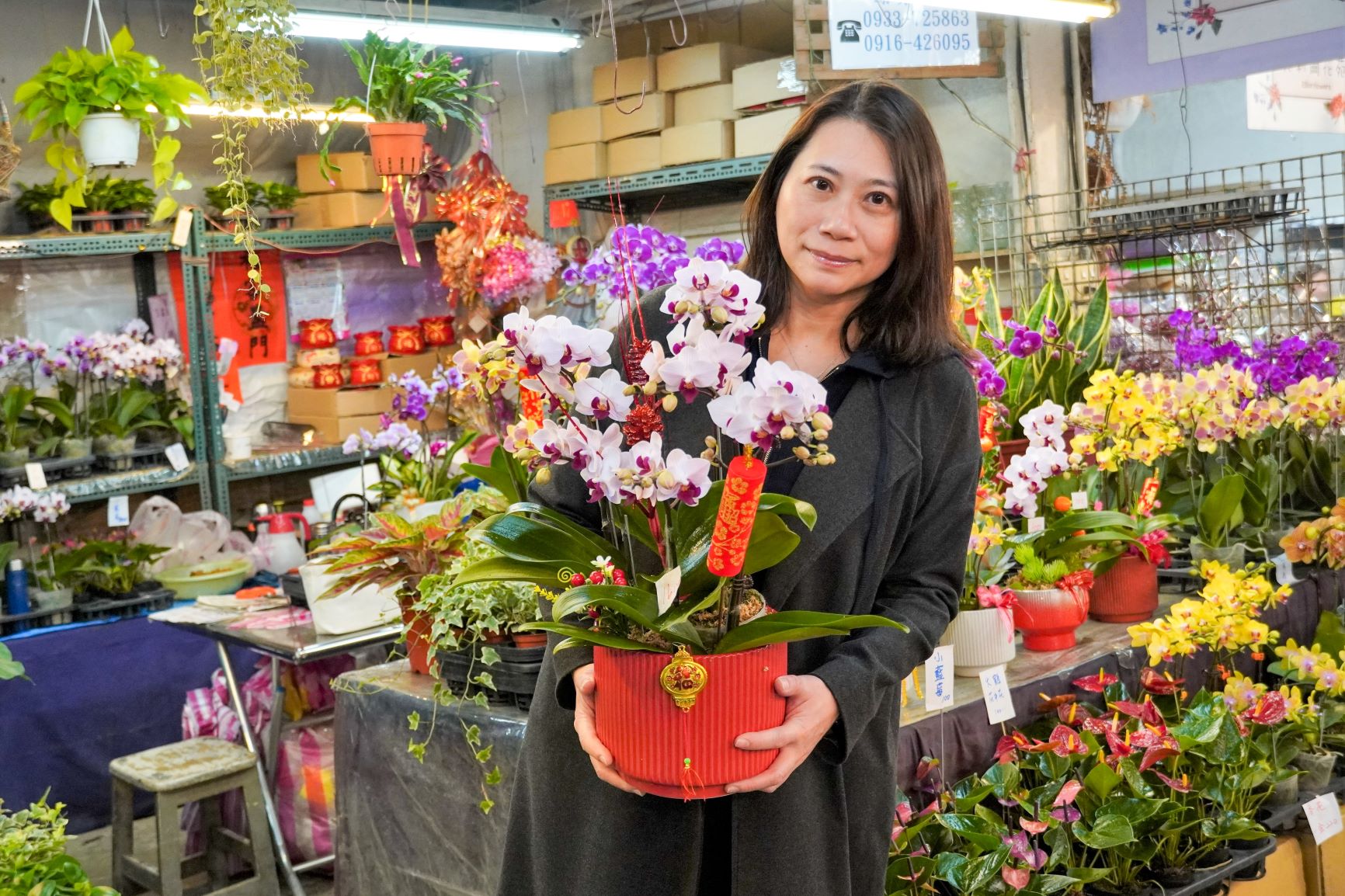 喜氣花卉點亮新年的好運氣 板橋花市延長營業時間