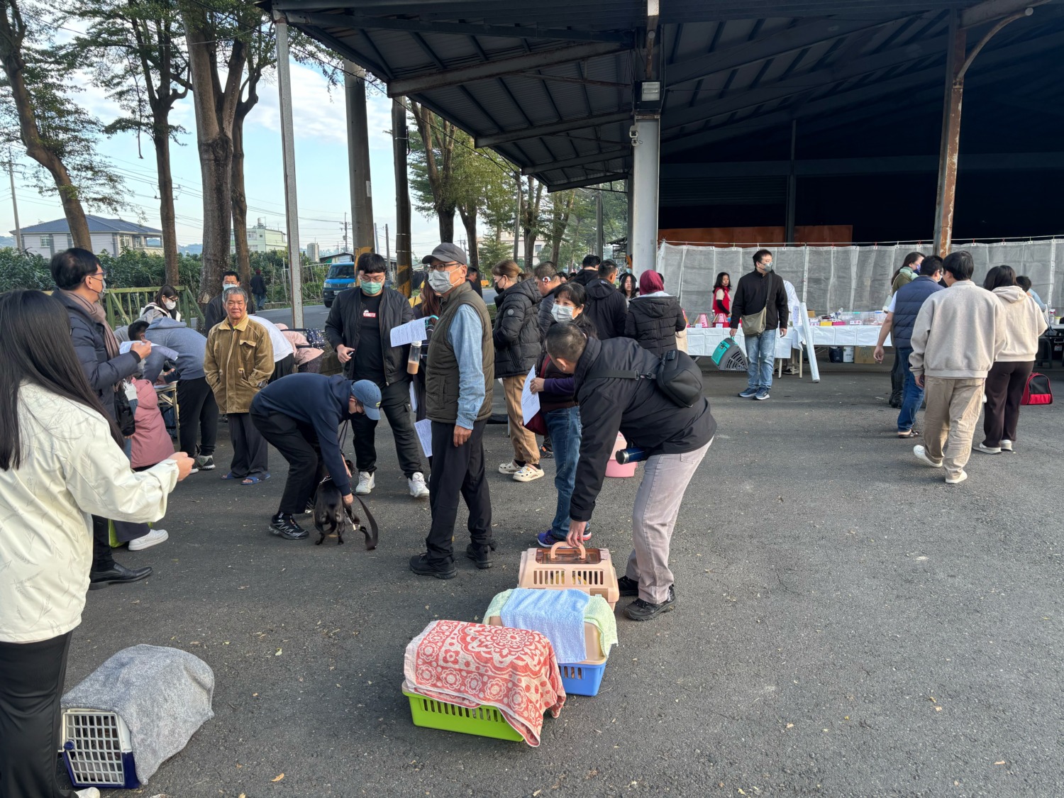 高雄巡迴犬貓絕育三合一啟動!偏鄉免費絕育疫苗服務再升級