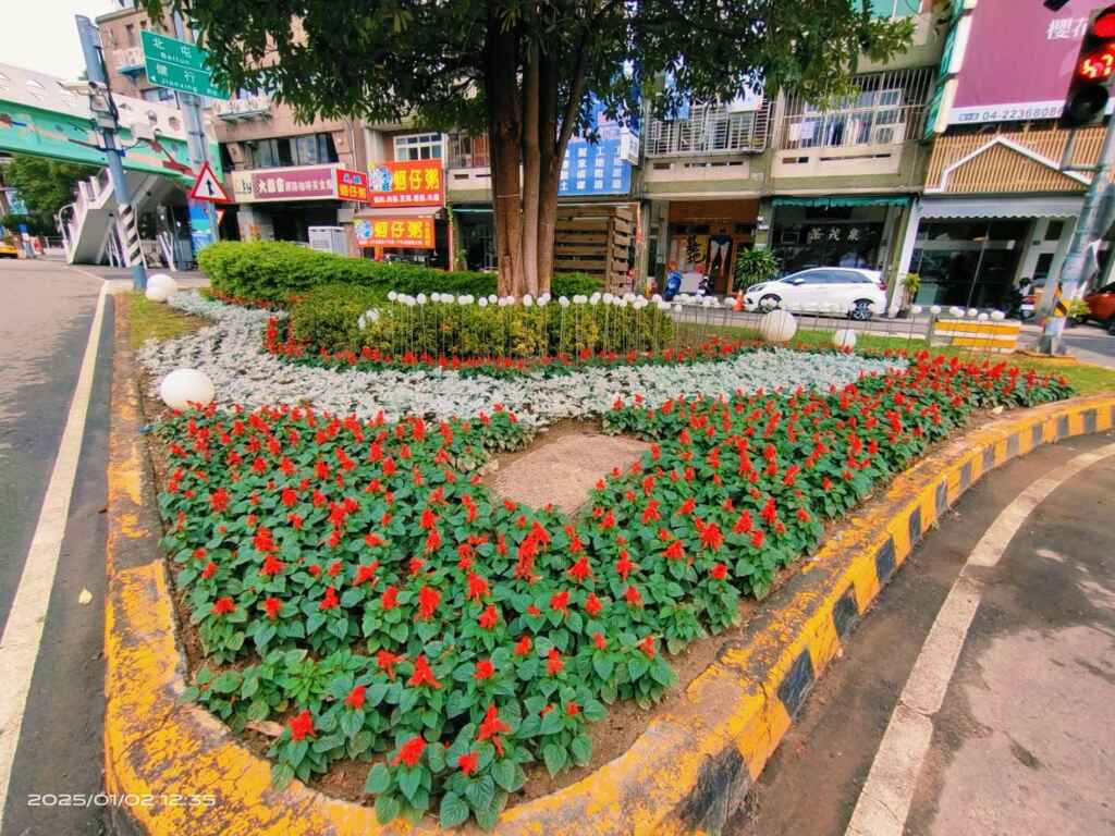 為增添年節氛圍，市府建設團隊以亮麗蒔花妝點台中市容，在全市主要道路及熱點公園。