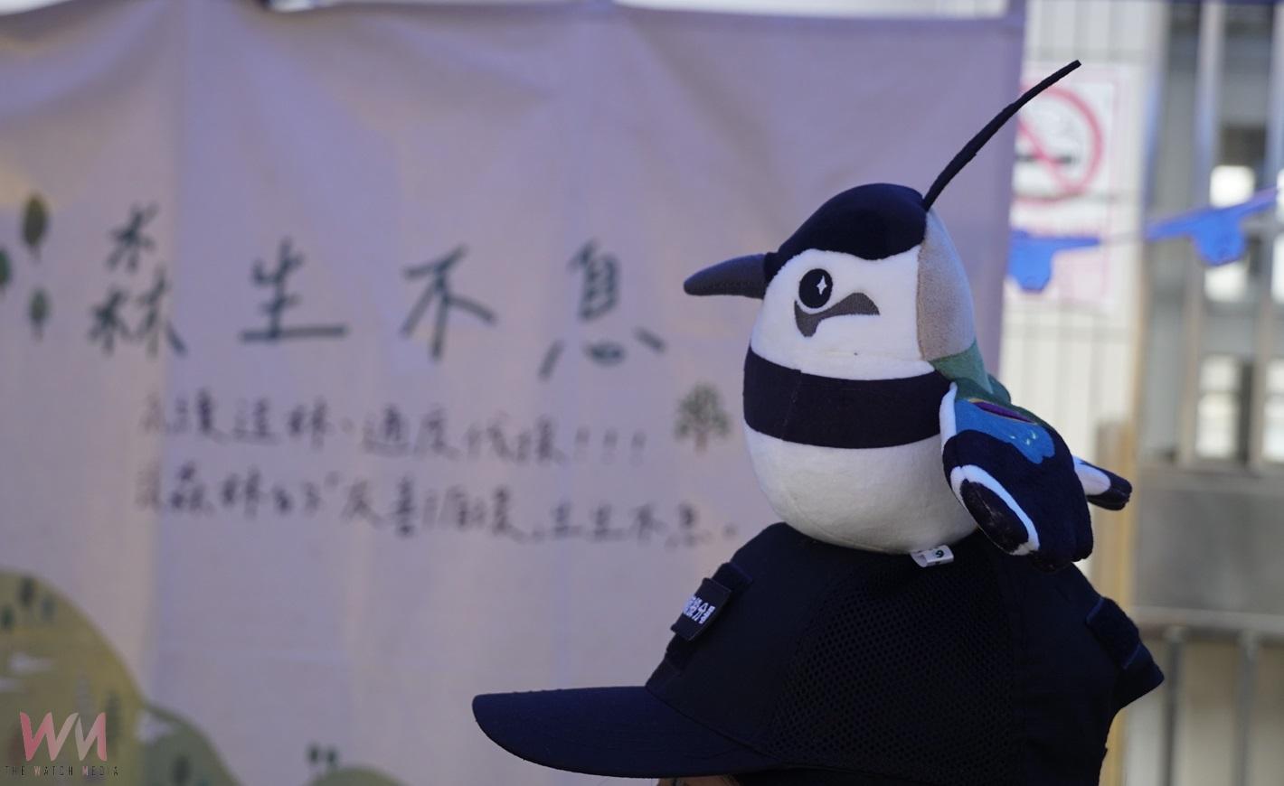 (有影片)/土豆鳥大集合官民共譜保育新章 2025雲林小辮鴴數量調查創新高 - https://www.watchmedia01.com