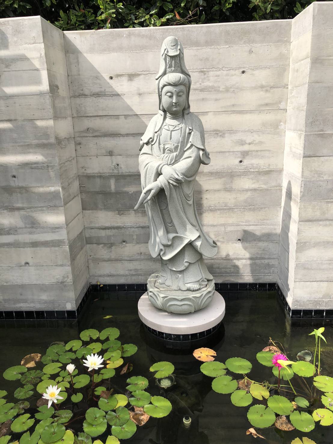 國際名導演吳宇森火後餘生返洛杉磯  但還有風暴仍隨時準備逃家