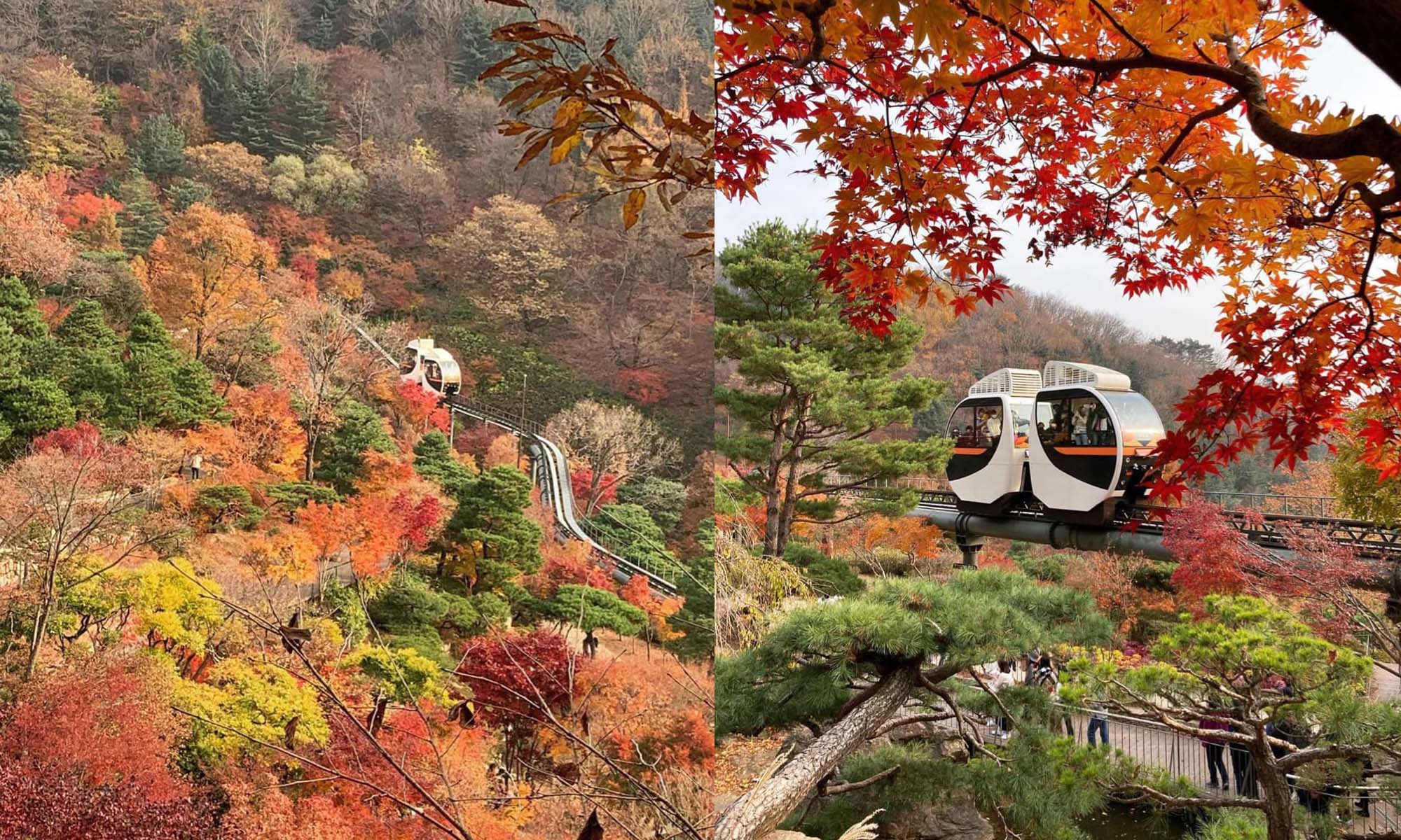 韓國景點:和談林一日遊!搭單軌列車穿梭山野