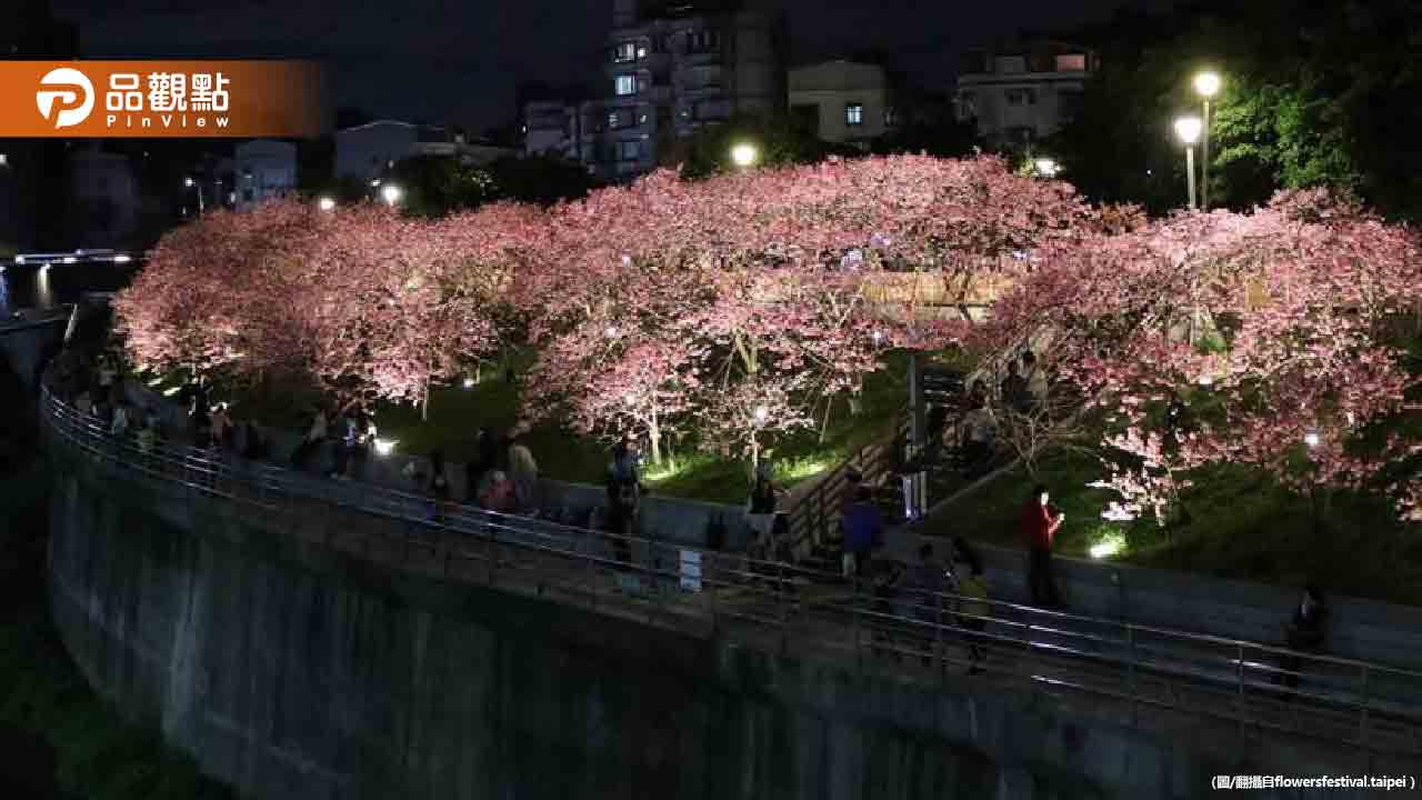 把握花期!今年內湖賞櫻花還有「迪士尼公主」可拍