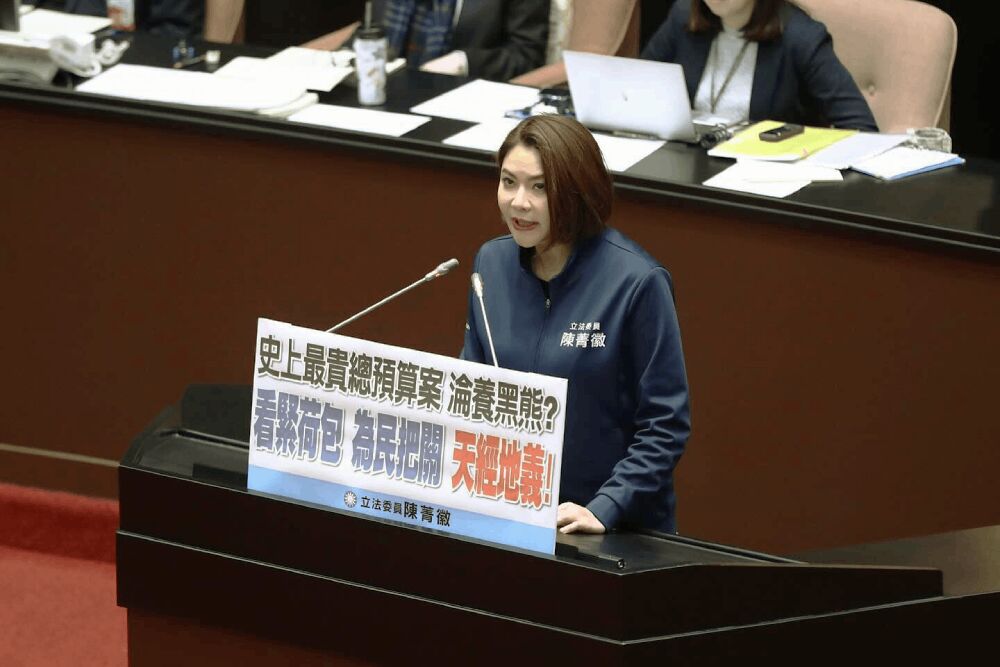回擊側翼抹黑預算審查 陳菁徽:民進黨為所欲為日子已結束 234 照片來源:陳菁徽醫師臉書