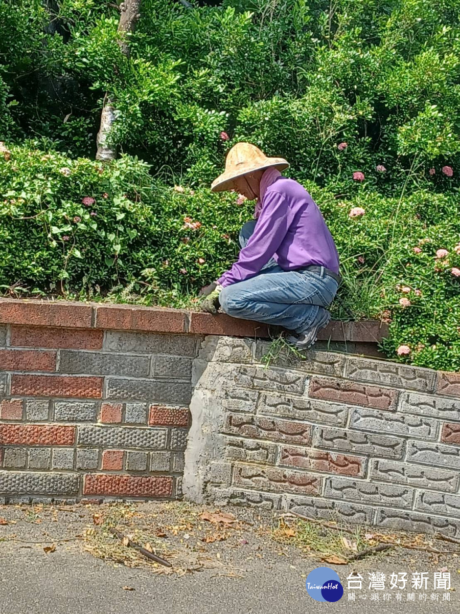 盧先生整理花圃