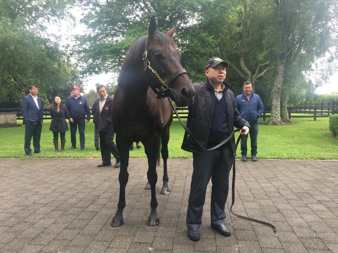 王振山博士系列報導之三 - 介紹共同著作《馬與我》