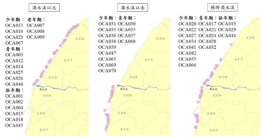 海保署公布113年白海豚監測成果