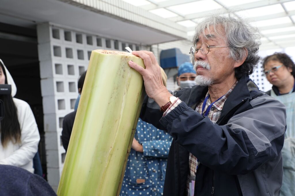 福島老師以沖繩及臺灣的芭蕉進行示範,分析比較臺日纖維材料的差異性,讓學員深入理解不同地域的芭蕉纖維取纖方式。(圖/工藝中心提供)