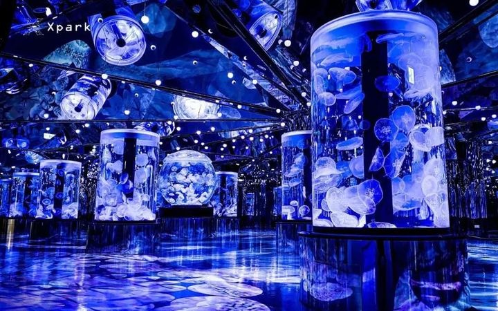 春節假期倒數！旅遊店商主打親子走春  獨家熱賣粉紅超跑「白沙屯媽祖進香行程」 
