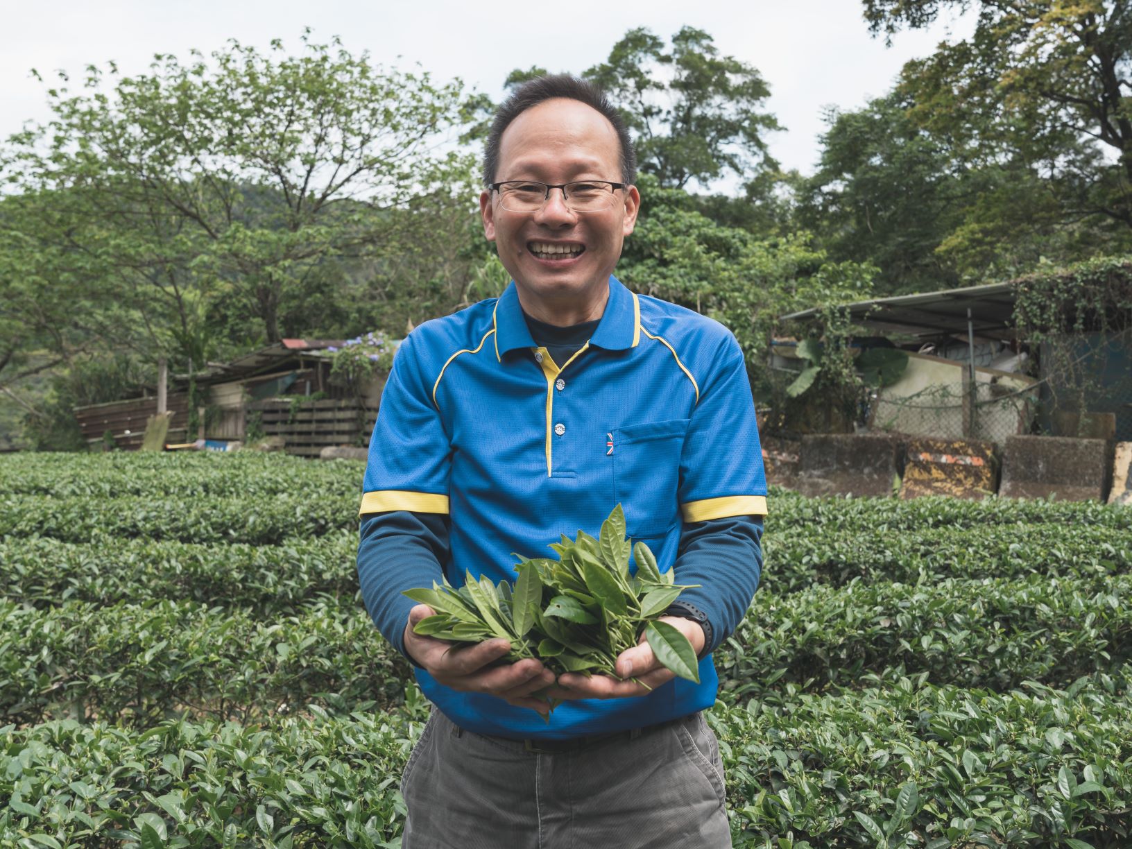 新北深坑農會總幹事黃土水 投入製茶產業 奪特等展現硬實力