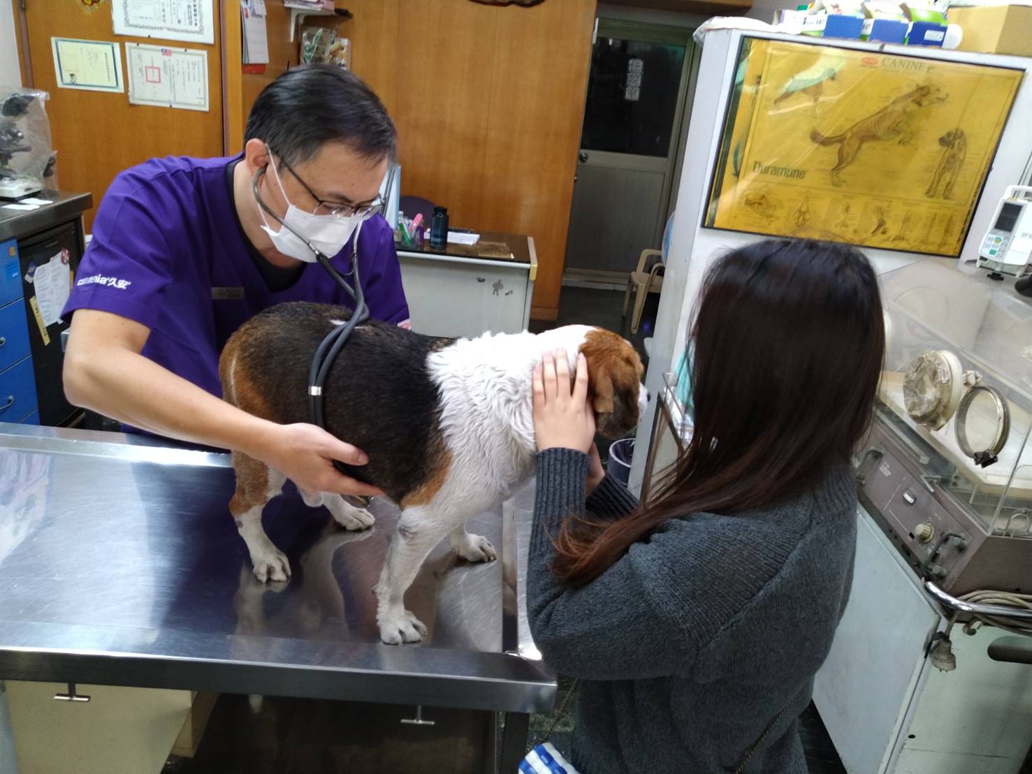 過年期間 毛小孩生病了怎麼辦? 高雄春節動物就醫看這裡