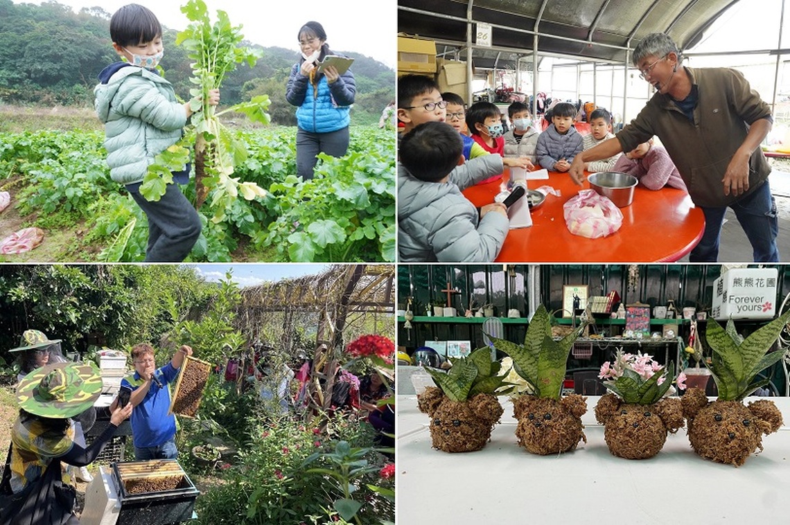 新北青農推食農體驗 新年走春體驗農遊