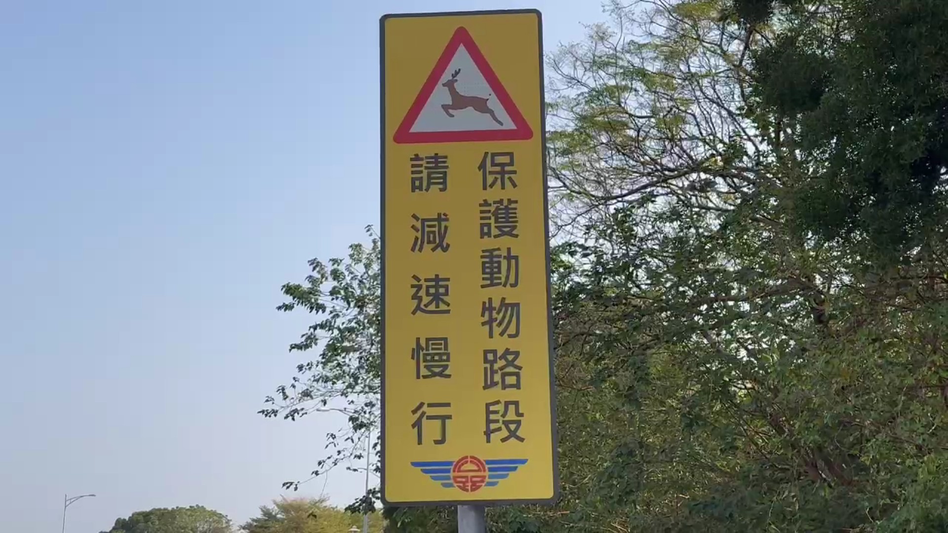 （有影片）／水鹿驚現台74甲線撞車險象環生　女駕駛驚險脫困　車損嚴重