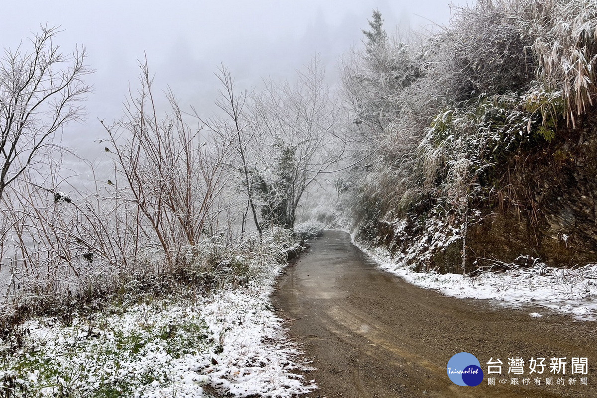 拉拉山降下2025年初雪，觀旅局提供線上賞雪，呼籲追雪注意保暖 與安全。<br /><br /> 