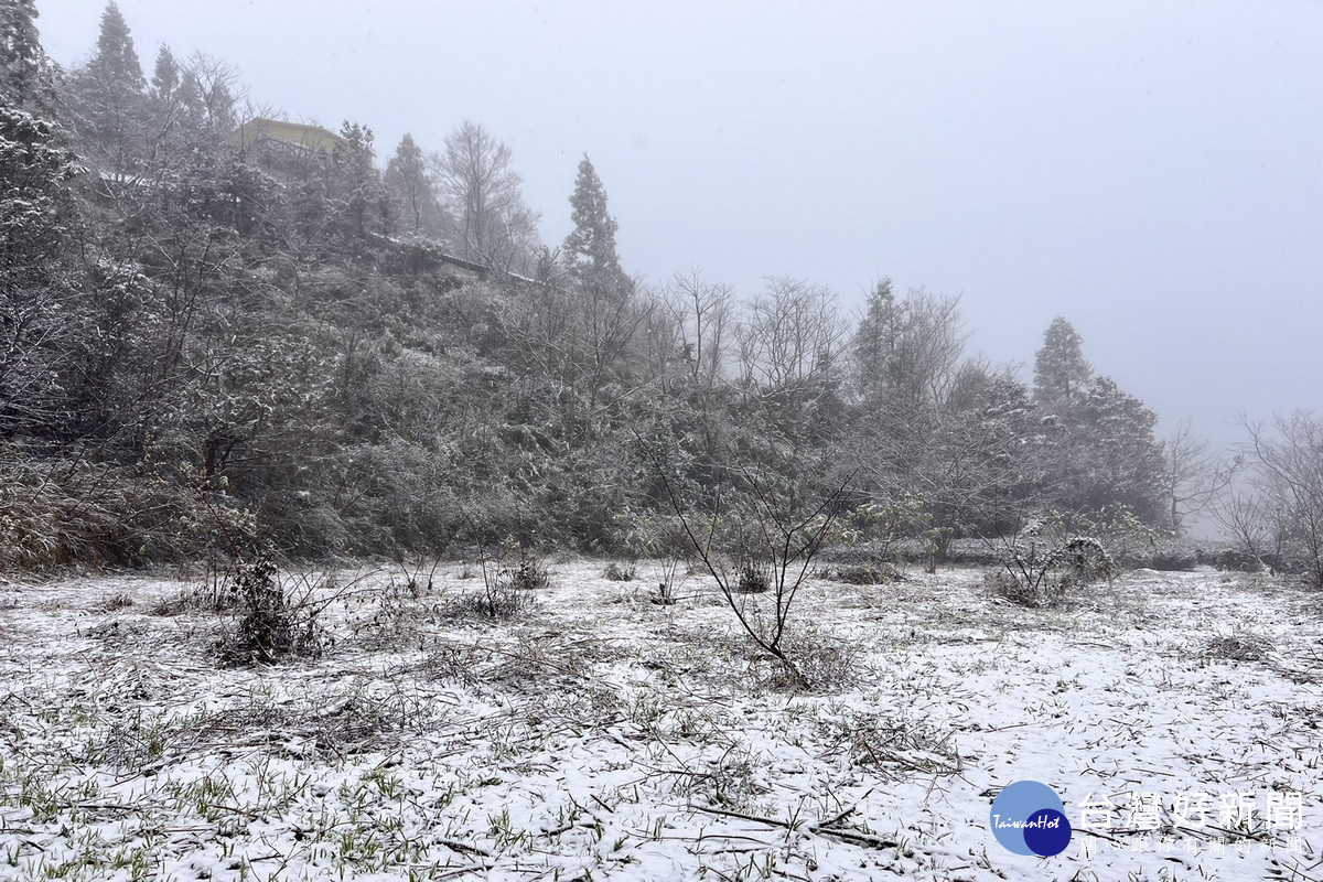 拉拉山降下2025年初雪，觀旅局提供線上賞雪，呼籲追雪注意保暖 與安全。<br /><br /> 