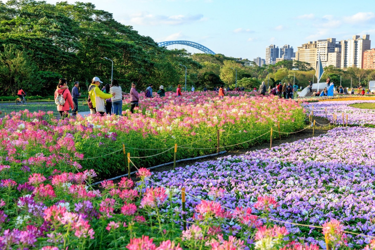 (圖/台北市府工務局水利工程處)