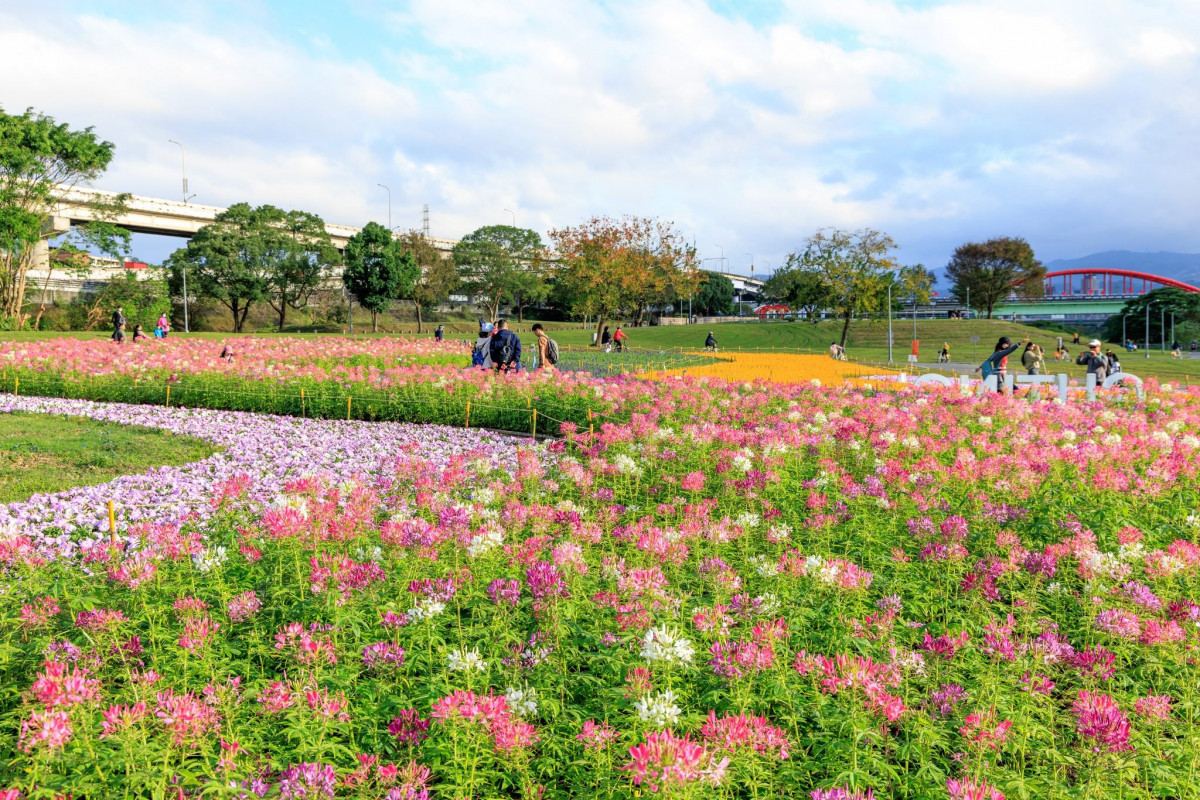 (圖/台北市府工務局水利工程處)