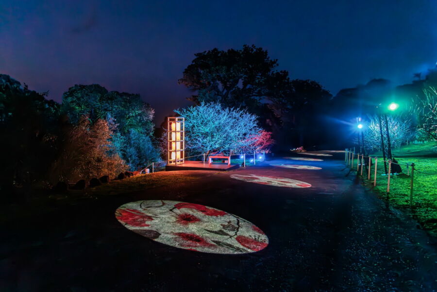 圖／美國藝術家Sara Berrenson作品打造的「流動櫻蒔」沈浸式光影區，讓大家沉浸在櫻花與光影交織的詩意美學中。（新北市景觀處提供）