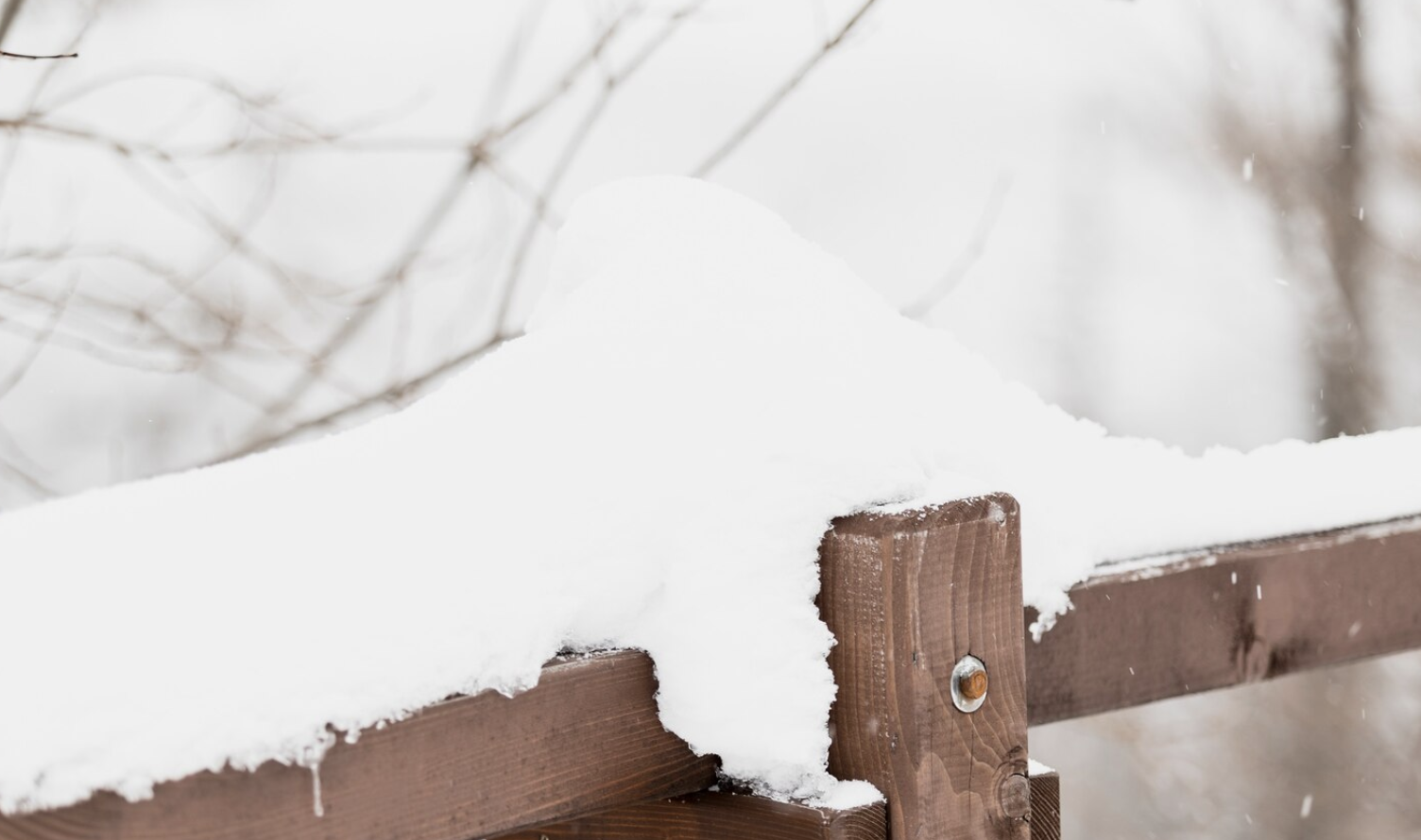 寒流襲台!合歡山積雪10公分 這些地方也飄雪成銀白世界