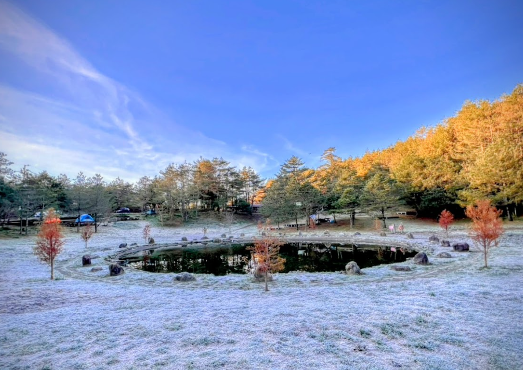 寒流襲台!福壽山農場現絕美冰湖奇景 梅花櫻花綻放