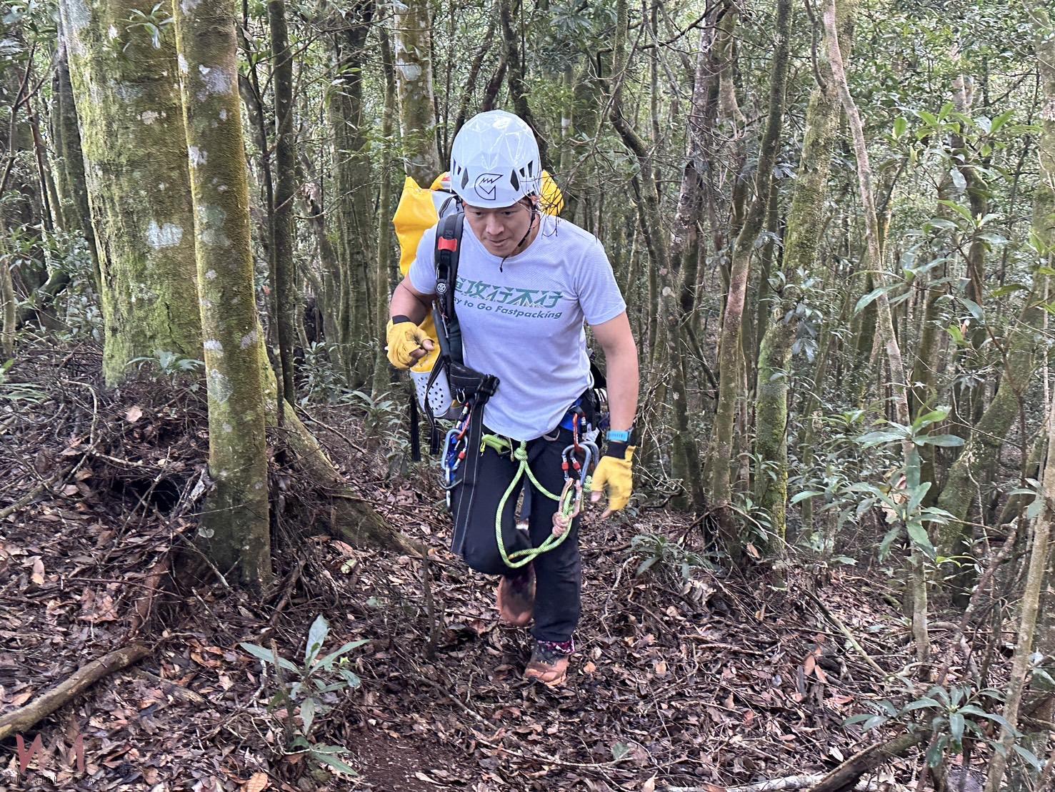 直擊/高雄市茂林多納林道濕冷路滑 山友失蹤案!高屏兩地警義消、民力團體聯手救援 - https://www.watchmedia01.com